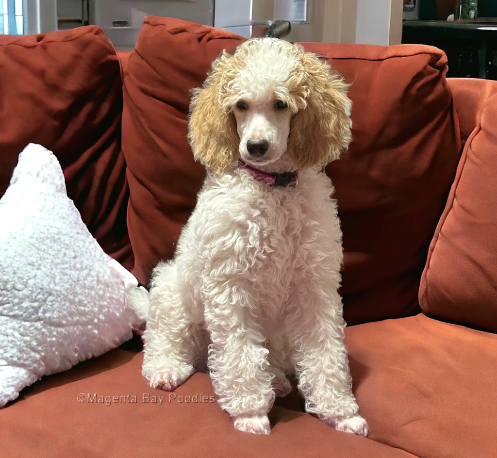 12w_sittingoncouch-1024x944.png